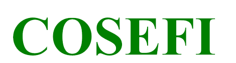 Cosefi S.r.l